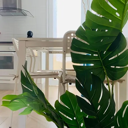 Dream Americas Apartamento Playa de las Americas (Tenerife)