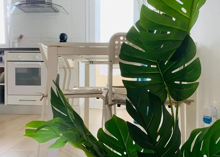 Dream Americas 公寓 美洲海滩